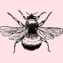 Logo 40